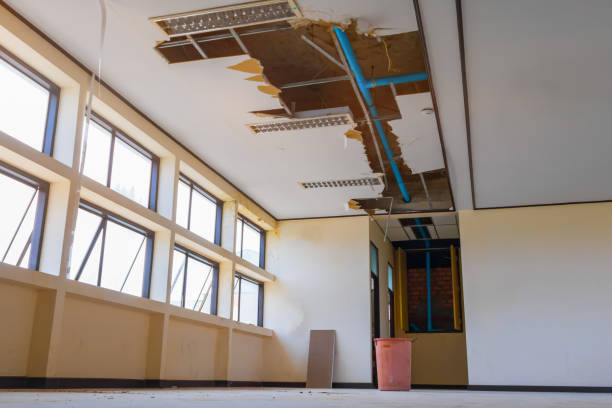 Best Water damage restoration mold remediation  in Shady Point, OK
