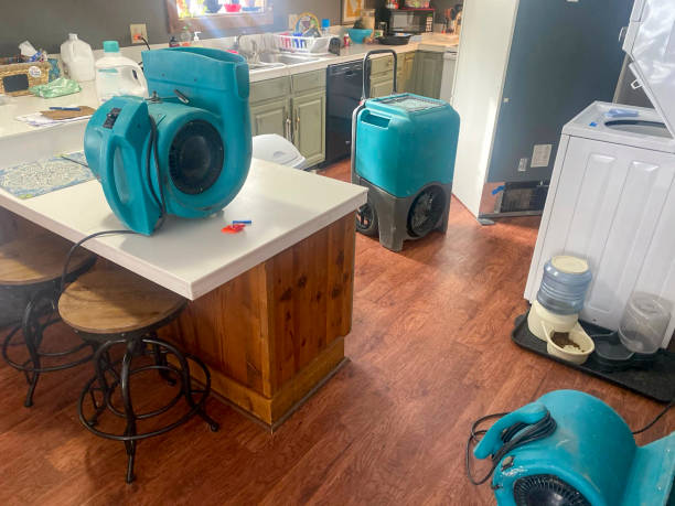 Best Water damage restoration company  in Shady Point, OK