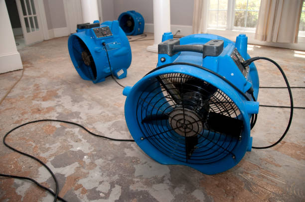 Best Sewage cleanup and water damage restoration  in Shady Point, OK